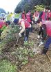 「自然を守りたい」／天神崎に５００本植樹／田辺、大阪の奉仕団体