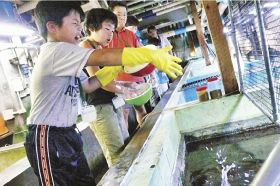 「魚にエサをやろう」　体験教室の参加募集、４日締め切り　県立自然博物館