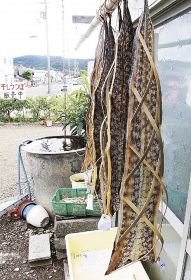 国道沿いで販売されているウツボの干物（和歌山県印南町西ノ地で）