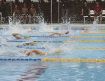女子２５メートル自由形で大会新／みなべ　小学生水泳大会