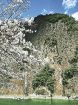 和歌山県の岩石「珪長質火成岩類」／１１月１９日まで／県立自然博物館