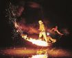 落ちアユ追い込む炎揺らぐ　古座川で伝統の火振り漁