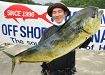 優勝の大物は９７センチ　串本で３年ぶりルアー釣り大会