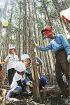 森の魅力を体感して　田辺市熊野ＴＢが新事業