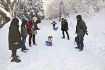 家族連れが雪遊び　白銀の龍神村・護摩壇山