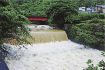 護摩壇山、龍神で過去最多　和歌山県内８月の降水量