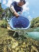アマゴの稚魚１万２千匹放流　古座川の七川漁協
