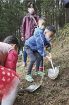 クマノザクラの苗木植える　古座川町で「小森川さくら祭り」