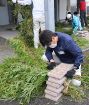 パンダの竹でイカの産卵床　食べ残し使い３０基、和歌山県白浜