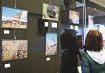 アサギマダラの魅力伝える　上富田文館で写真と絵の展示
