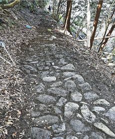 道普請で現れた延長約５０メートルの石畳（和歌山県串本町和深で）