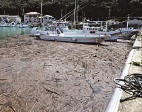 流木がたまった袋港（１６日、和歌山県串本町串本で）