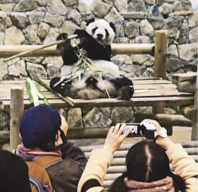 中国へ旅立つ「永明」を観覧する客（上）と、旅立つパンダを見ようと並ぶ客の列＝２０日、和歌山県白浜町で