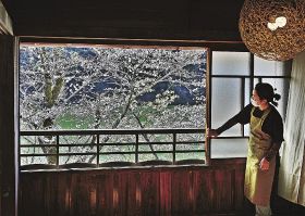 窓から見える桜を楽しんでもらおうと改装した地域交流拠点の２階（２７日、和歌山県古座川町佐田で）