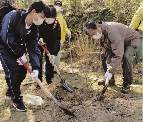 仁坂吉伸知事（右）も中学生と一緒に植樹した＝２３日、和歌山県印南町印南原で