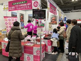 大阪マラソンの関連イベントで多くの来客があったウメパワプラスの販売コーナー（和歌山県田辺市提供）