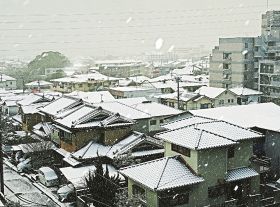 強い寒気、交通網乱れる　田辺市街地で積雪