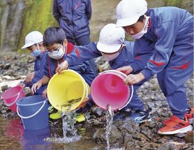 アマゴの稚魚を放流する清川小学校の児童（和歌山県みなべ町清川で）