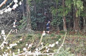 梅咲く山道を駆ける　全国一の産地和歌山・みなべで「梅の里トレイルラン」