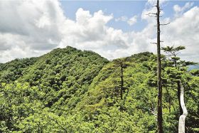 和歌山県最大の自然公園誕生　希少生物多い大塔山系を指定