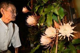 堀江正之さん（左）宅で白い花を咲かせた月下美人＝和歌山県すさみ町周参見で