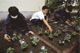 花植えて盛り上げる／熊野高　園芸学ぶ生徒