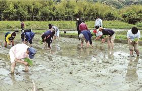古座川で田植え　農福連携事業　エコ工房四季の利用者