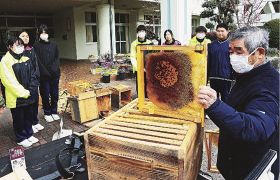 ミツバチ増やそう／高城中１年生　学習し巣箱設置／みなべ