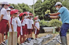 中村槙也さん（右）からサツマイモの苗について説明を受ける児童＝串本町潮岬で