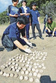 アカウミガメの卵のふ化状況を調べる日本ウミガメ協議会の職員ら（和歌山県みなべ町山内で）