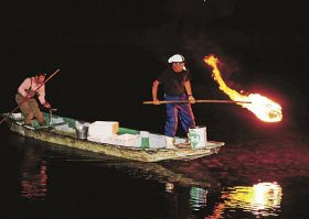 舟上からたいまつの火でアユを網に追い込む（１日、和歌山県古座川町川口で）