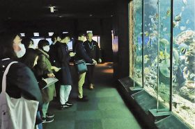串本海中公園水族館を視察する早稲田大学の学生ら（２４日、和歌山県串本町有田で）