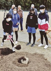 クマノザクラの苗木を植える児童