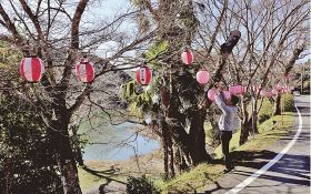夜桜ちょうちん設置　古座川町の七川ダム湖畔