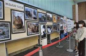 ＮＰＯワンニャン会の活動内容や神島高校写真部の作品を展示した「地域ネコ写真作品展」（和歌山県田辺市東陽で）