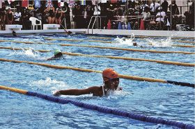 小学生４７３人が力泳　田辺・西牟婁水泳大会