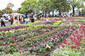 全日本花いっぱい大会が開幕　２６日まで田辺市で