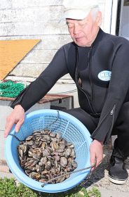 今季２回目の漁でトコブシを約４キロ採った鈴木幸作さん（１１日、和歌山県串本町津荷で）