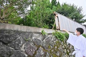 台風で木塀壊れる　和歌山の世界遺産・熊野速玉大社、社殿や参道に被害なし