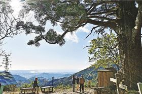 生い茂ったササなどを刈り取り、復活した捻木ノ杉からの眺望（和歌山県田辺市上野で）