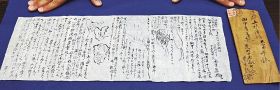 １９３０（昭和５）年１月に南方熊楠が出した書簡。南方熊楠記念館は１８日から展示する＝和歌山県白浜町で