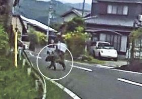 【動画】クマの目撃情報相次ぐ　田辺市内や上富田町の住宅地で