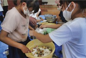 容器に梅の実と塩を入れる岩代小学校の児童。８月下旬に天日干しするという（和歌山県みなべ町西岩代で）