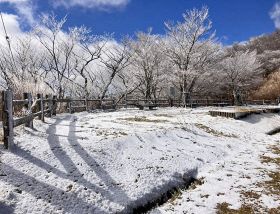 薄く雪が積もった護摩壇山森林公園入り口の広場（６日、和歌山県田辺市龍神村龍神で）