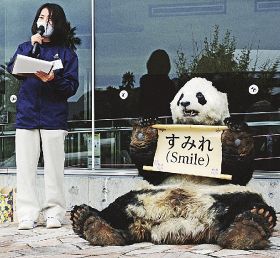 名前が「すみれ」に決まったジャイアントパンダの着ぐるみキャラクター（８日、和歌山県白浜町で）