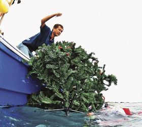 船から高さ約３メートルのクリスマスツリーを海に沈める組合員（串本ダイビング事業組合提供）