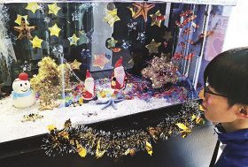 クリスマス特別水槽／すさみ／エビとカニの水族館