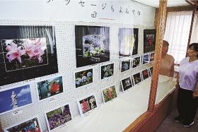 癒やしの花を撮影／３１日まで南部公民館／田ノ岡さん写真展