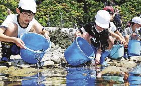 古座川漁協／アユ７００キロ放流／明神では児童がお手伝い