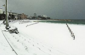 一面に雪が積もった白良浜（２５日午前８時半ごろ、和歌山県白浜町で）